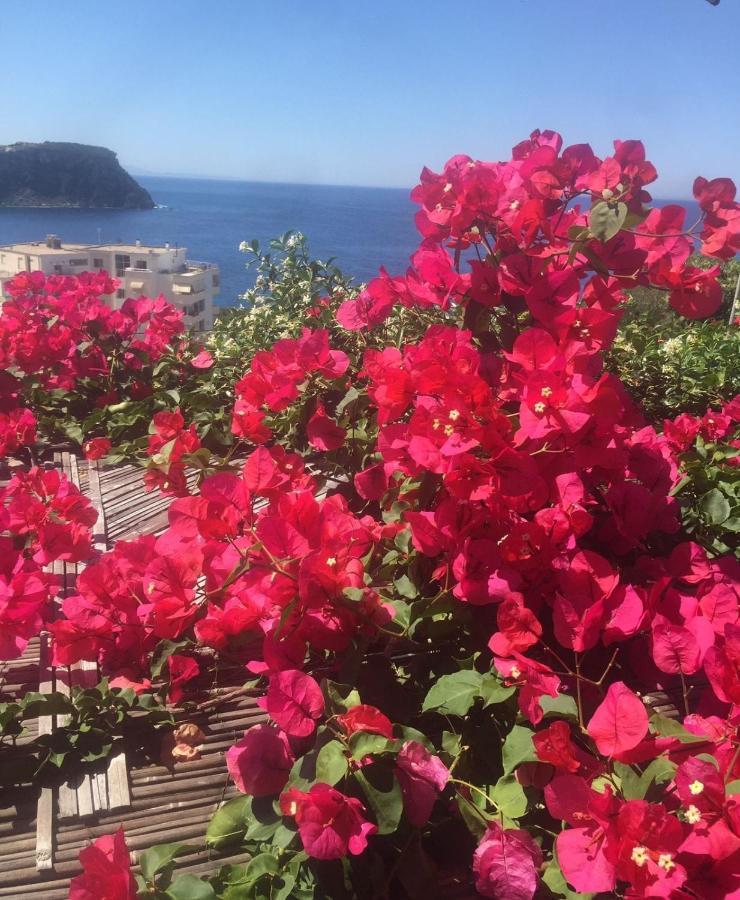 Stefanel View-Frederika Villa Himare Exteriör bild